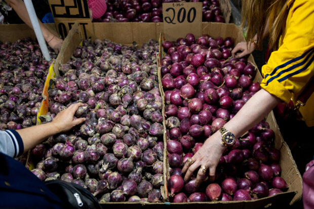 Onion farm-gate prices deflate to P10 a kilo