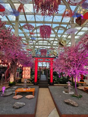 Featured article middle 6