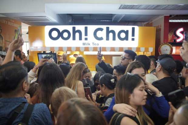 Unveiling the adorable world of Ooh! Cha! Milk Tea