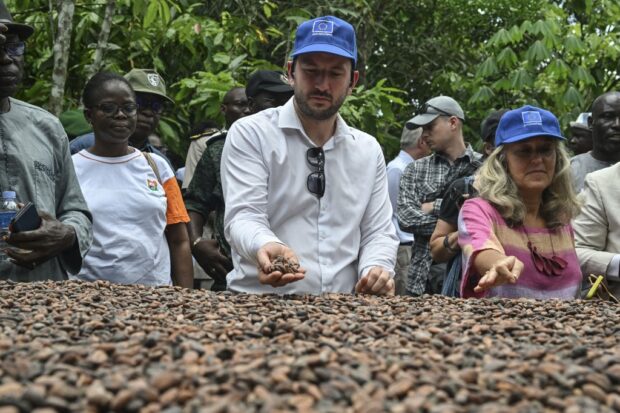 EU Commissioner Virginijus Sinkevičius (C) handles cocoa beans during a visit to a farm near Agboville on April 7, 2024. 