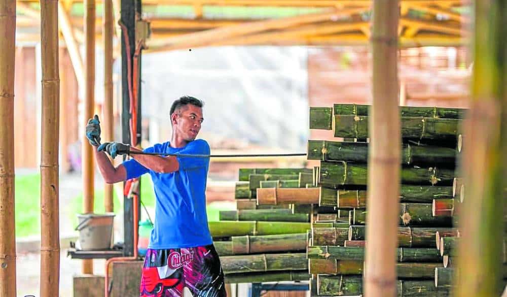 Promoting bamboo
in modern construction