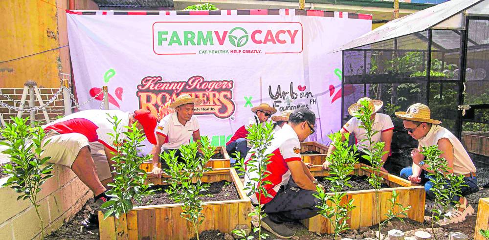 FOOD GROWERS IN TAGUIG Kenny Rogers Roasters’ thirdFarmvocacy Program offers support to schools through Urban Farmers PH. 