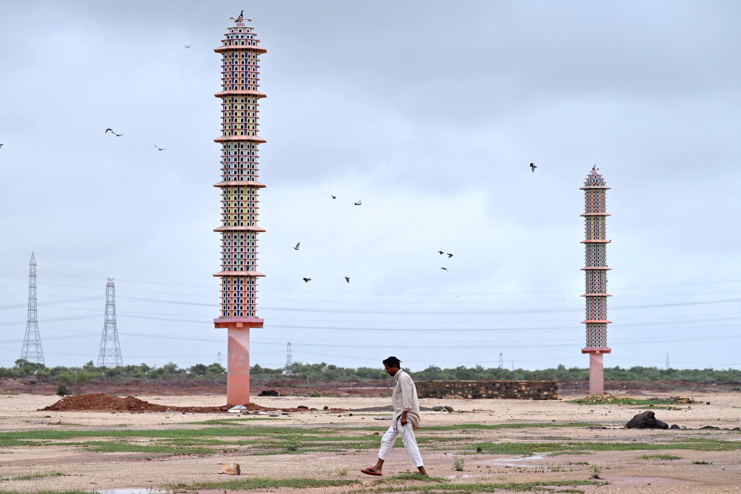 India's green energy wind drive hits desert herders hard