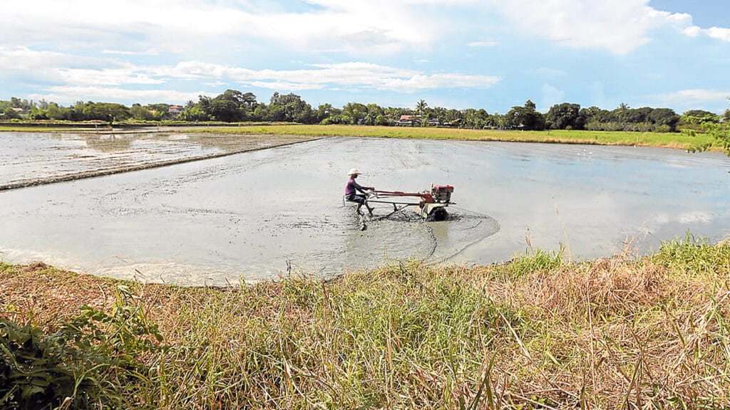 PLANTING SEASON A farmer uses a hand tractor to prepare a rice paddy for planting palay in Pulilan, Bulacan, on Aug. 8. —GRIG C. MONTEGRANDE