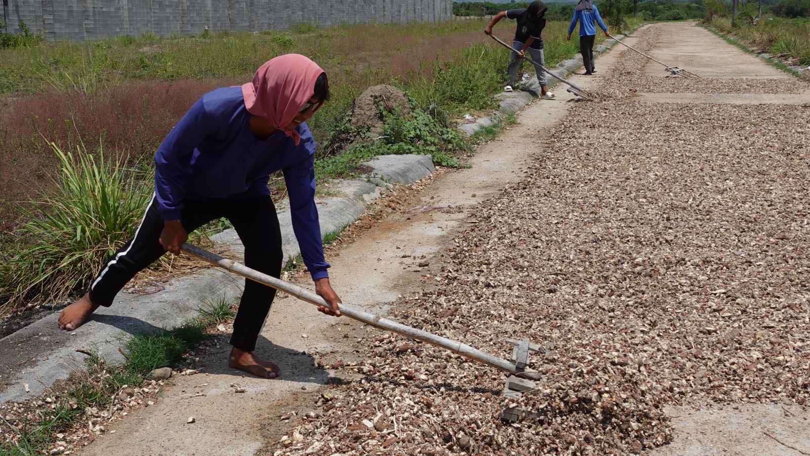 San Miguel Foods yields 44% growth in cassava volumes