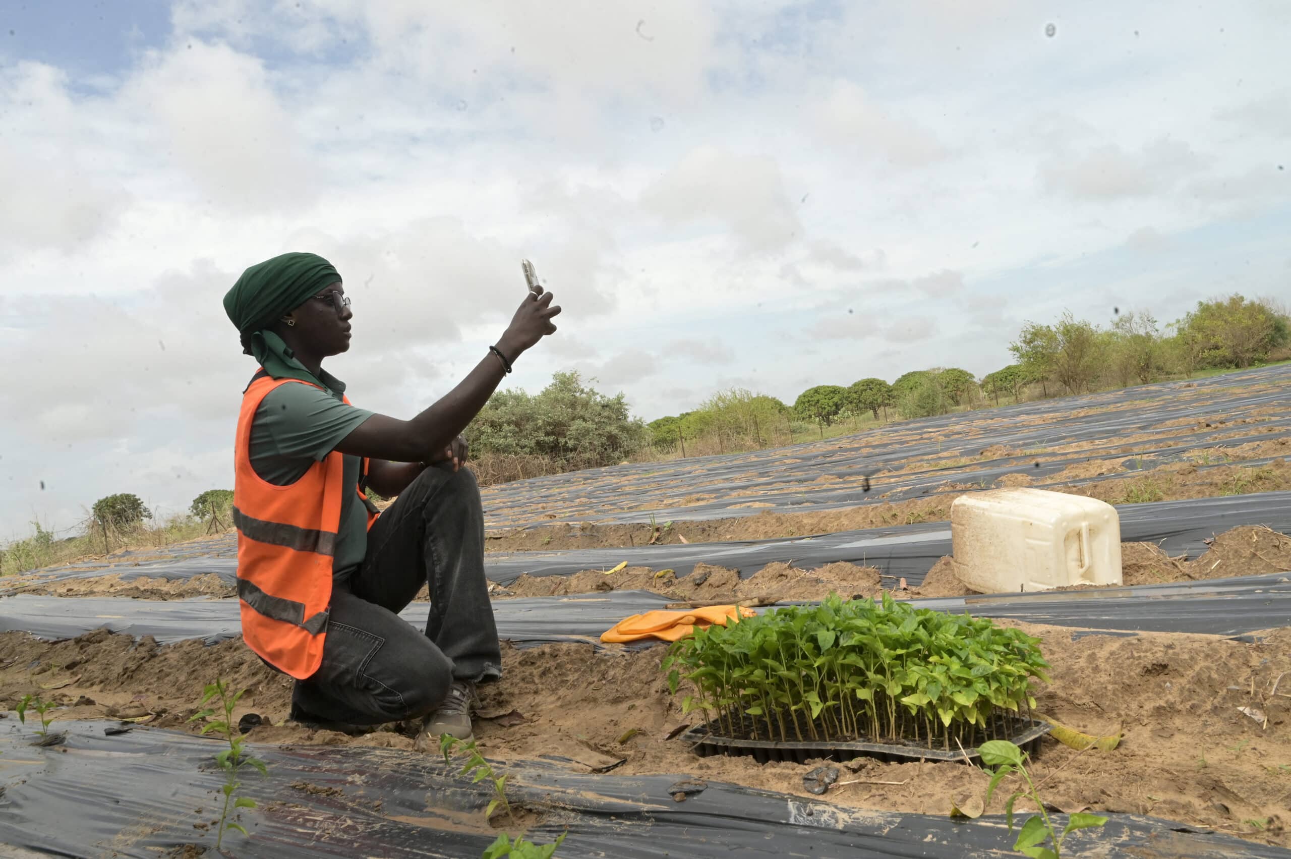 Senegal 'agri-influencers' seek to shake up key sector