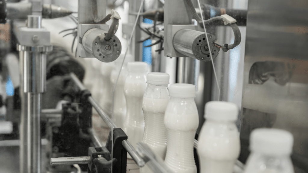 Dairy agency calls for cattle importation to boost local milk supply