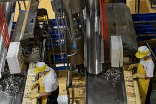 Philippine factory gate prices rose 0.8% in Feb, says PSA