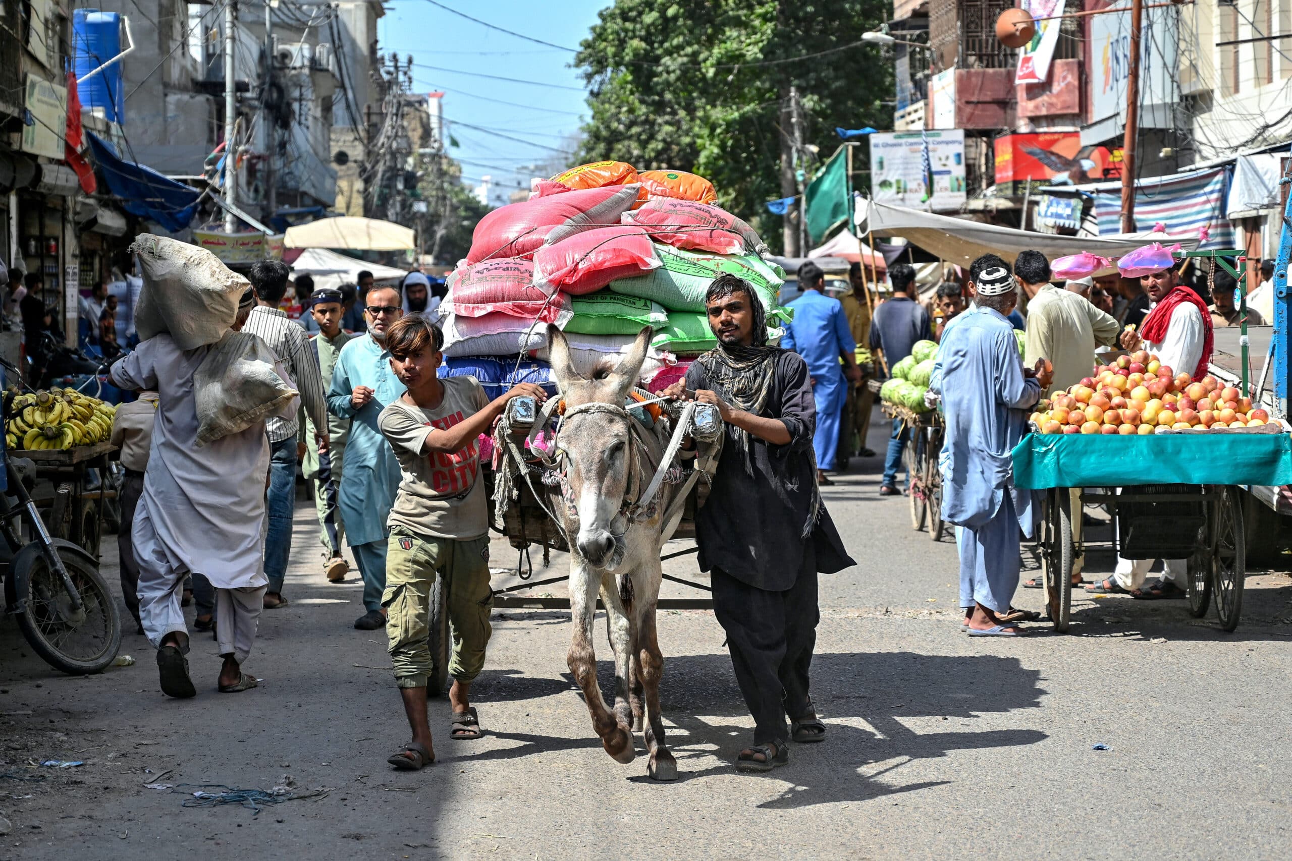 Donkey business in Pakistan burdened by modern pressures