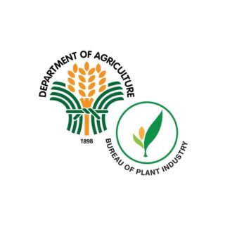 Russian market now open to Philippine farm exports