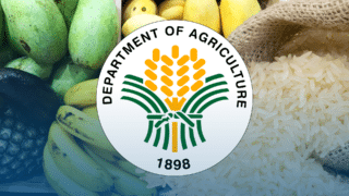 Agribusiness group urged gov't to give bigger budget for DA