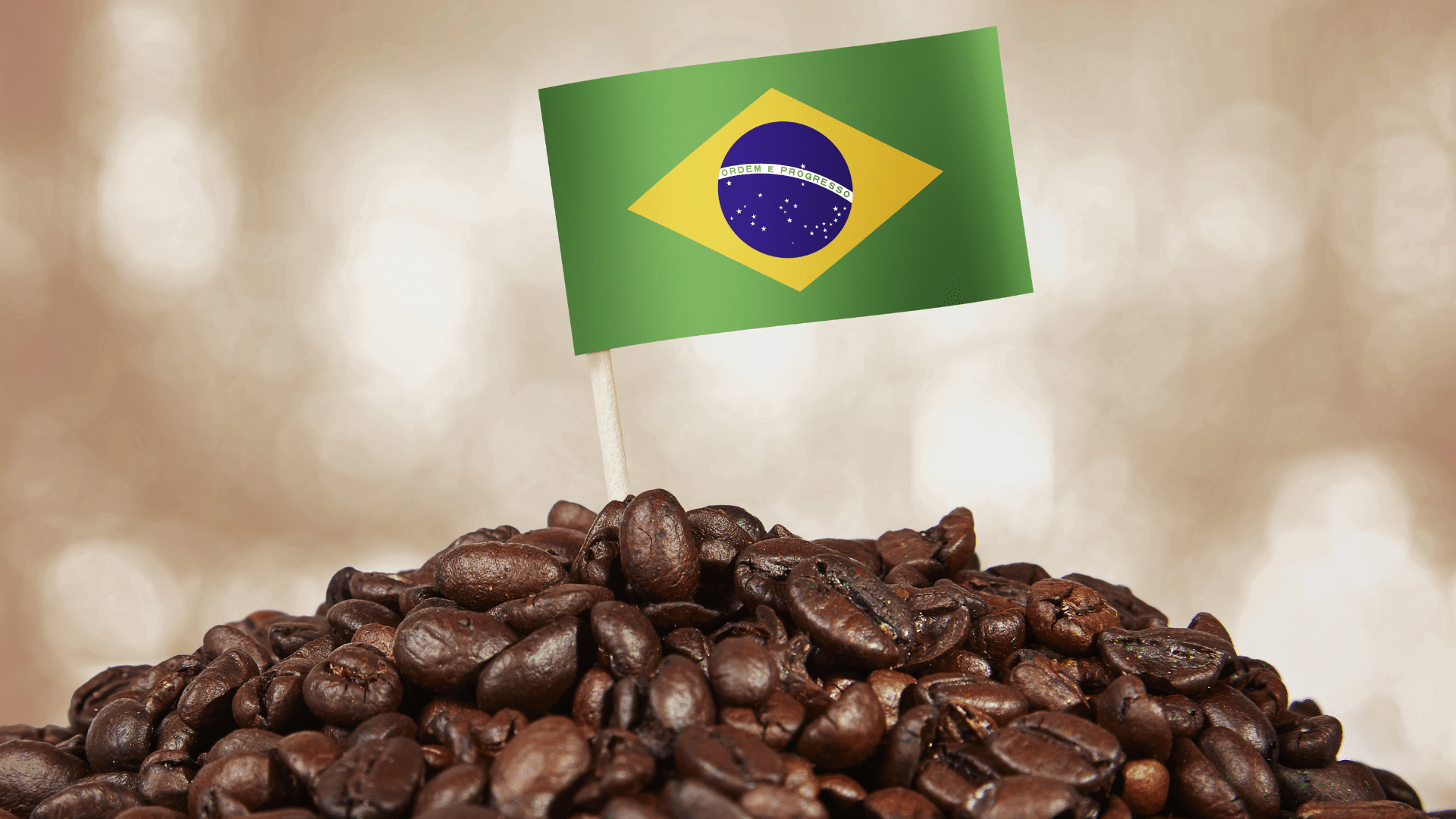 Coffee price heats up on tight Brazil crop fears