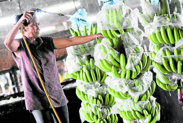 Philippines seeks wider market access for farm produce