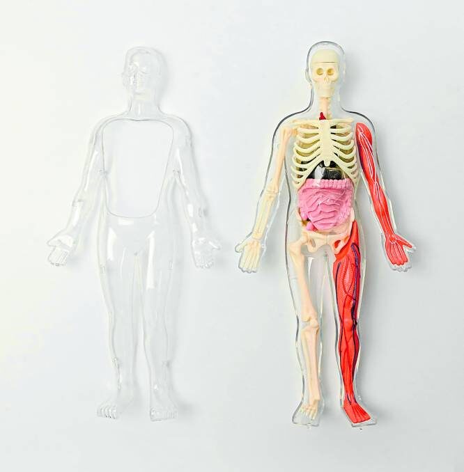 Your home functions like the human body.