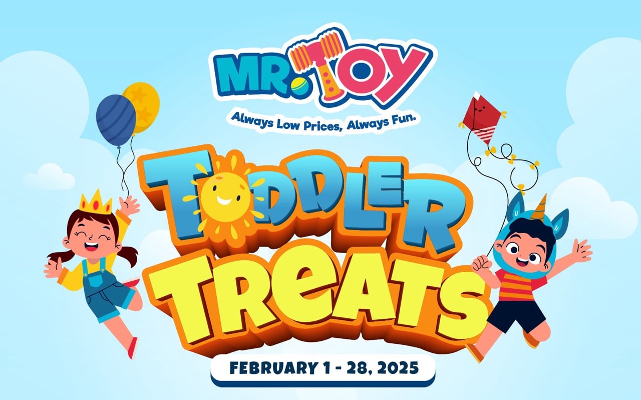 Mr. Toy