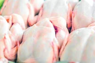 Gov’t urged to release import quotas for poultry