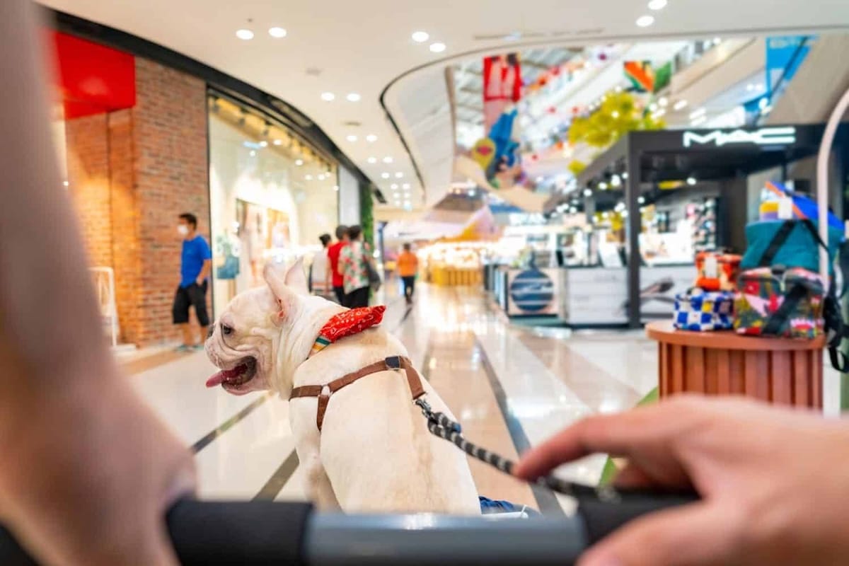 Malls like streets that grow with us