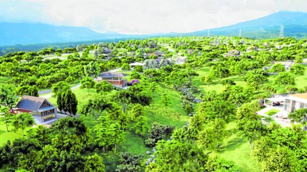 Virendo in Davao City by ALP 