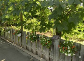 Featured property article