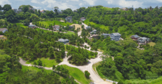 Featured brandroom article