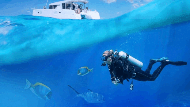 PAL to start flying to Palau by March 2026