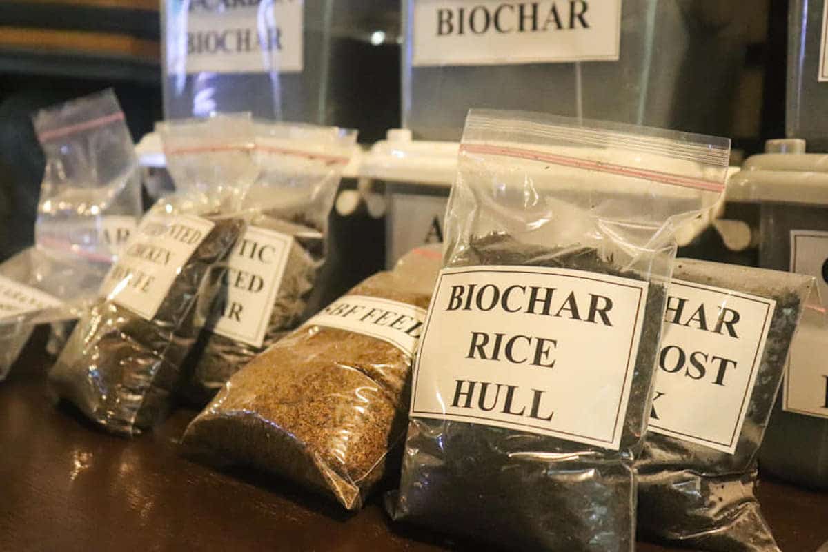 Leveraging biochar for growing crops
