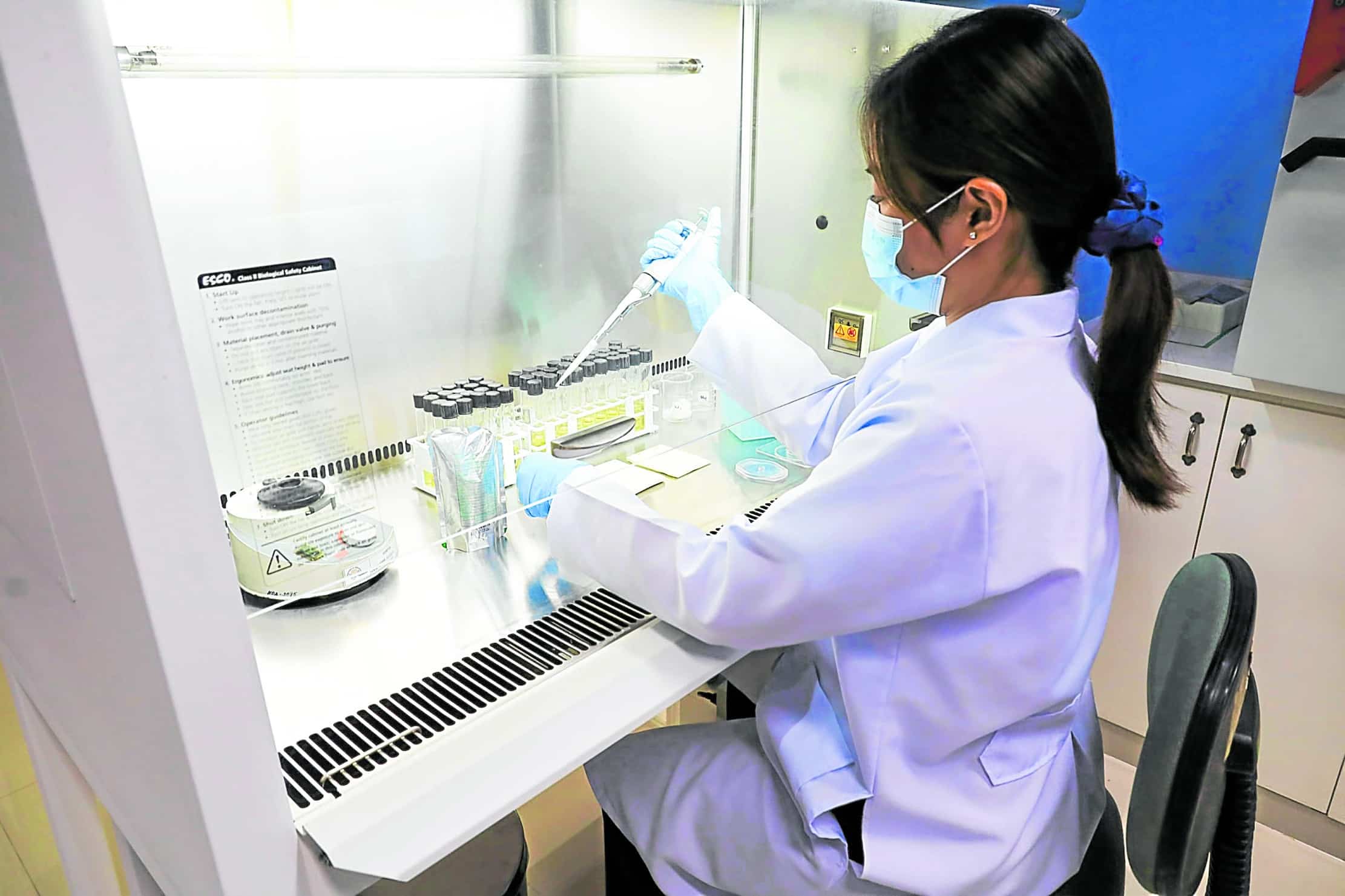 New era for dairy: Philippines to raise new milking cows