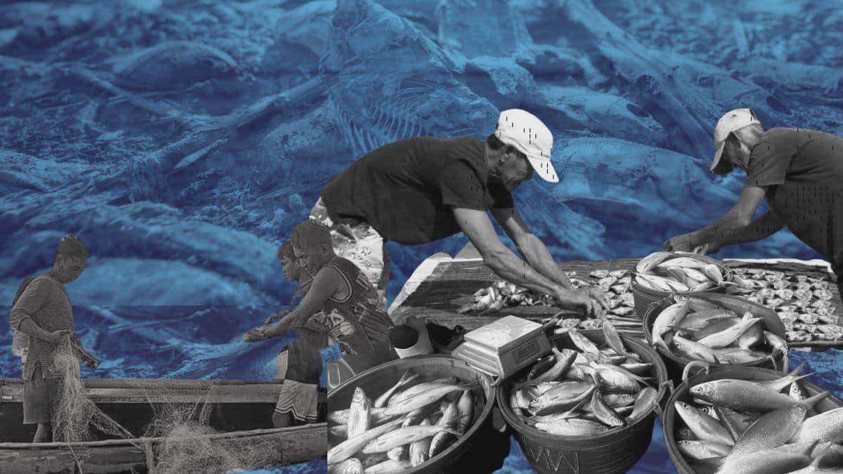 Featured articles right