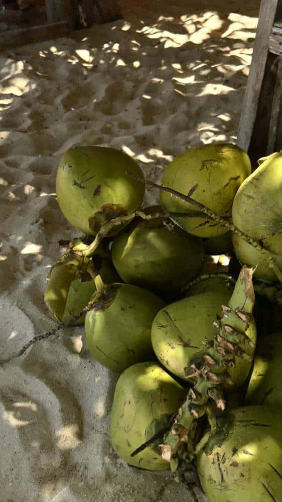 Nothing like fresh coconuts to beat the tropical heat at Long Beach