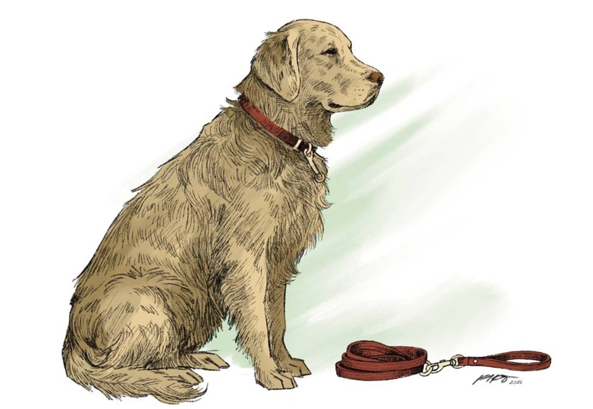 The strategic difference between loyalty and inertia