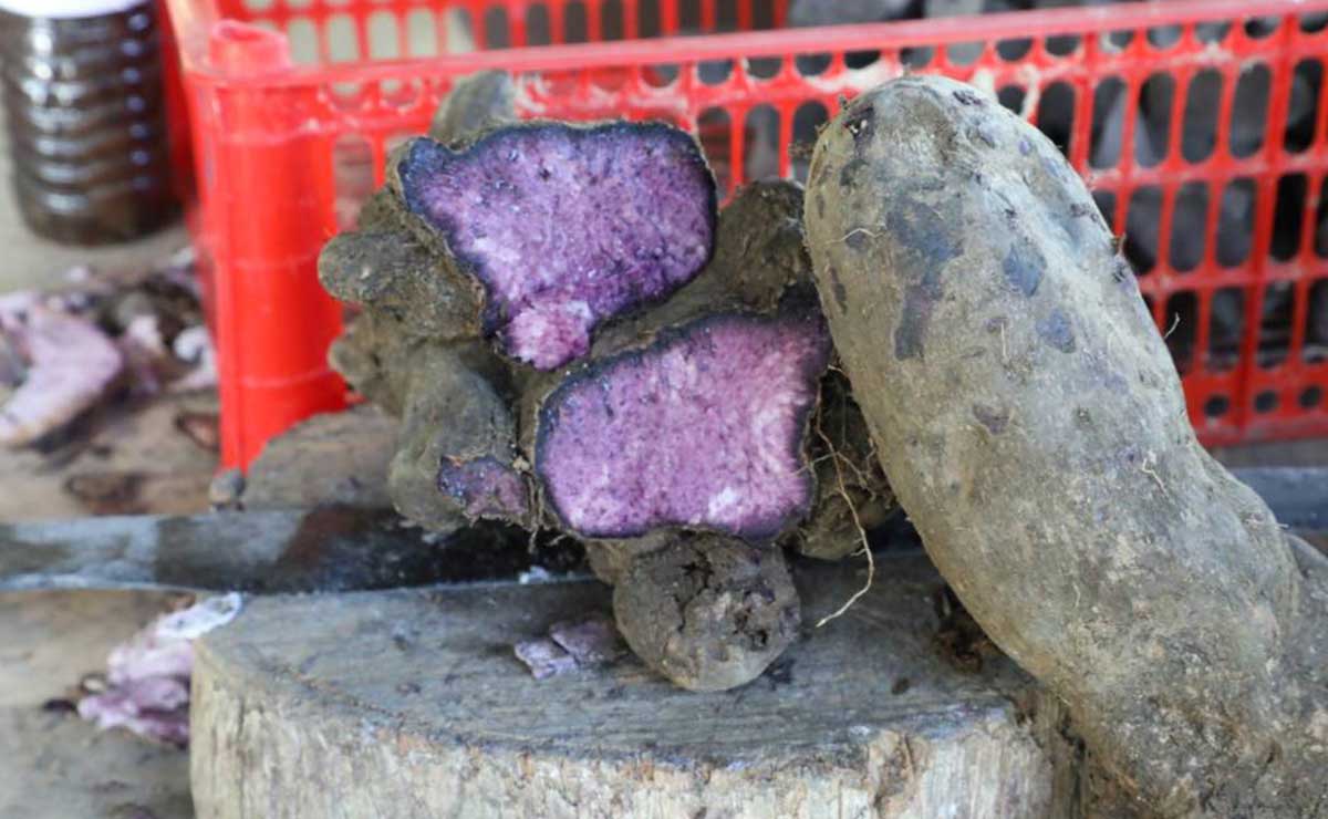Washington cues $34-m grant to boost ube industry